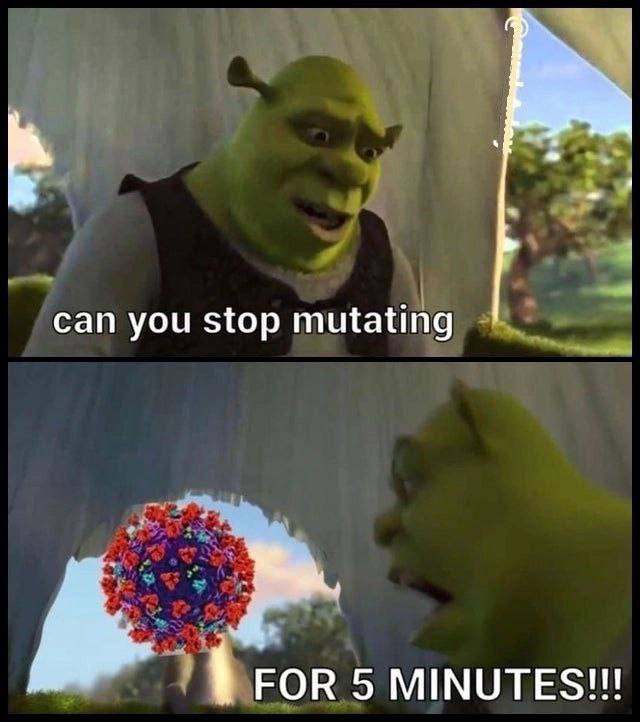 can you stop mutating FOR 5 MINUTES!!!