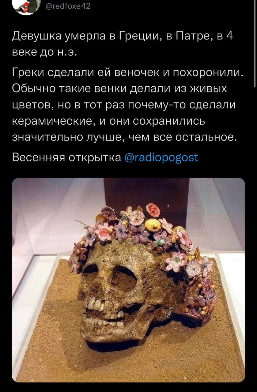 🌸🌺🌼💀