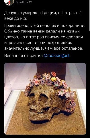 🌸🌺🌼💀