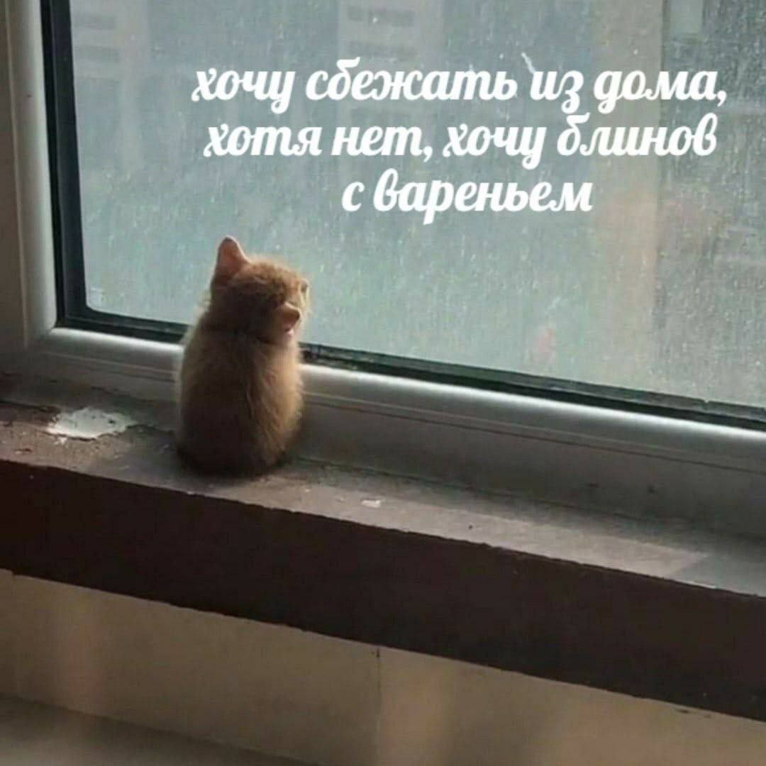 хочу сбежать из дома, хотя нет, хочу блинов с вареньем