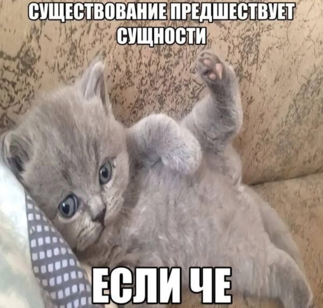 СУЩЕСТВОВАНИЕ ПРЕДШЕСТВУЕТ СУЩНОСТИ ЕСЛИЧЕ
