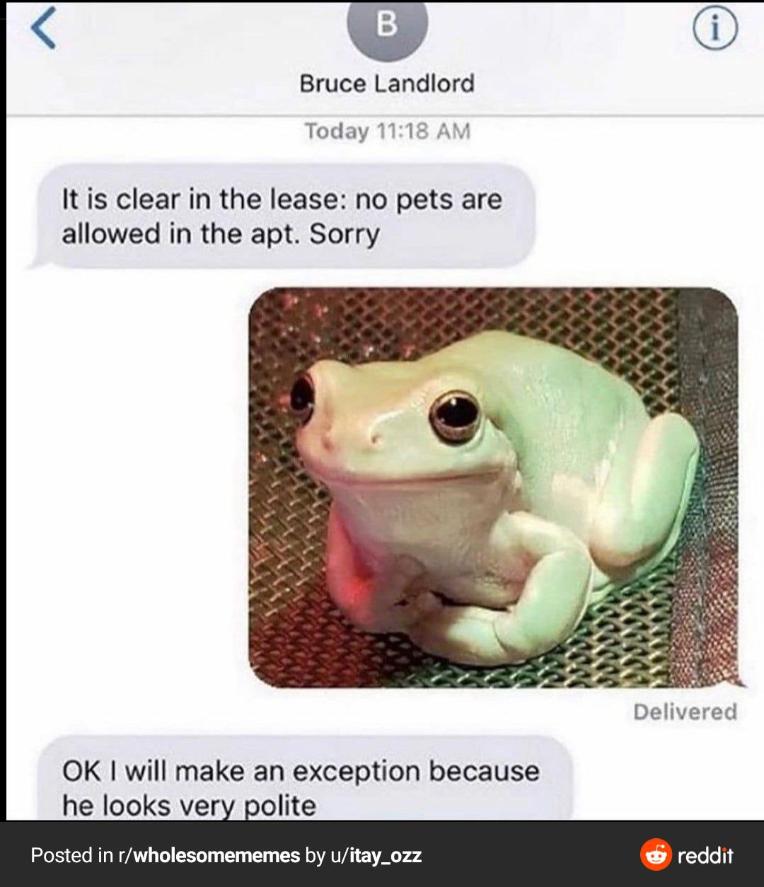 Bruce Landlord Today 11:18 It is clear in the lease: no pets are allowed in the apt. Sorry 4 Delivered will make an exception because he looks very polite Posted in r/wholesomememes u/itay_ozz reddit