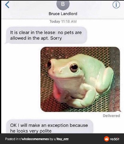 Bruce Landlord Today 11:18 It is clear in the lease: no pets are allowed in the apt. Sorry 4 Delivered will make an exception because he looks very polite Posted in r/wholesomememes u/itay_ozz reddit