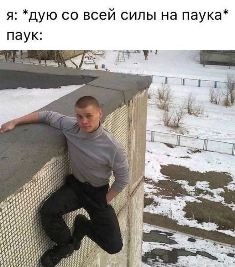 я: *дую всей силы на паука* паук: He a 43 $9 $4 И wih, $3 49 49 и 49 “4 #55 $44 497 49 44 44 4 #99 49695