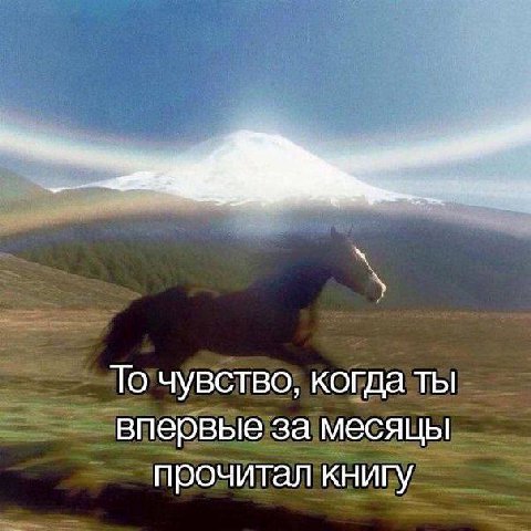 То чувство, когда ты впервые за месяцы прочитал книгу