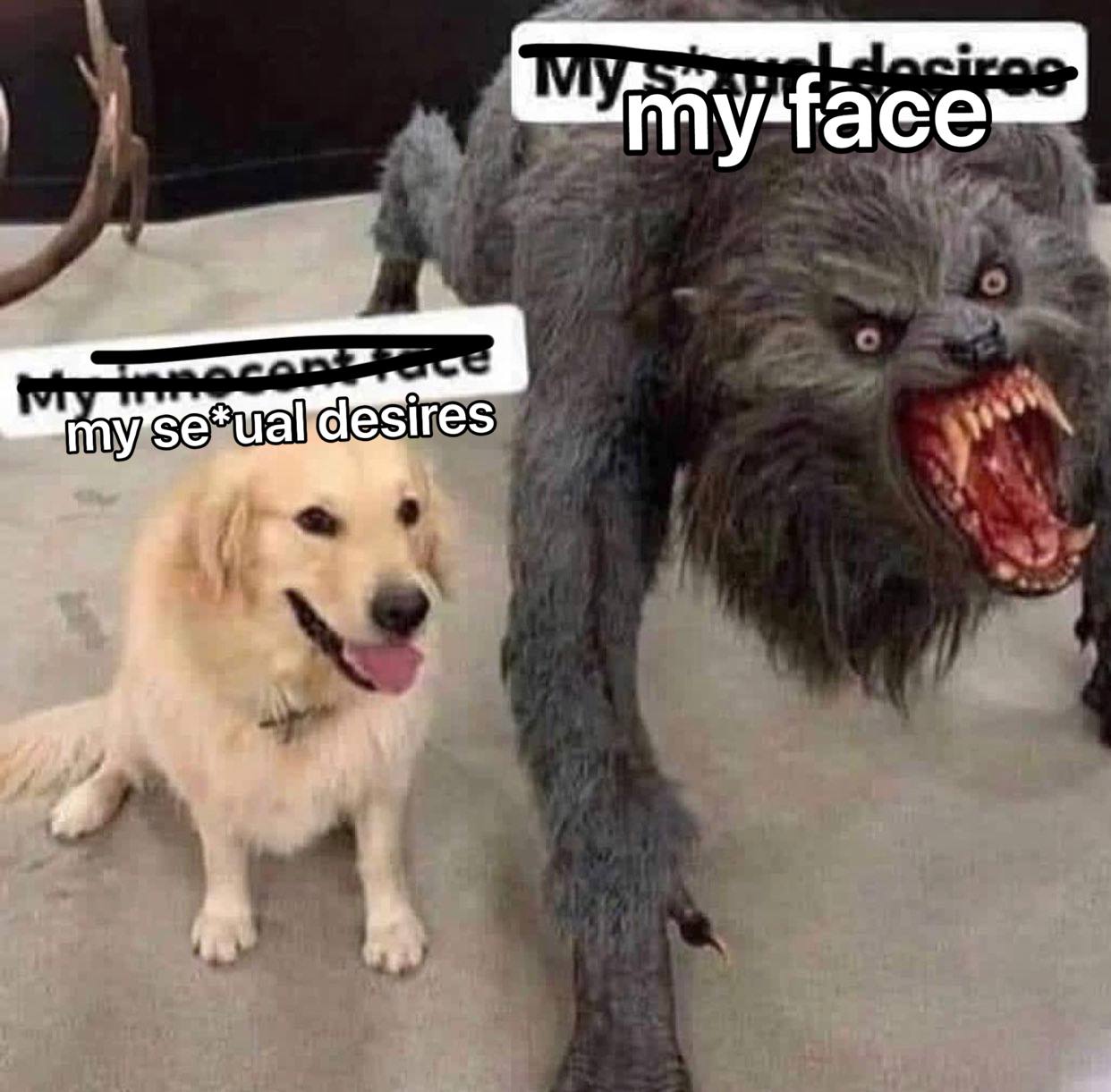 my face desires