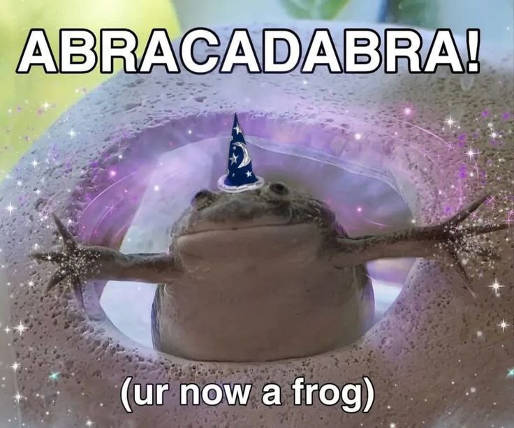 'АВЯАСА РАВВА! a, now a frog)