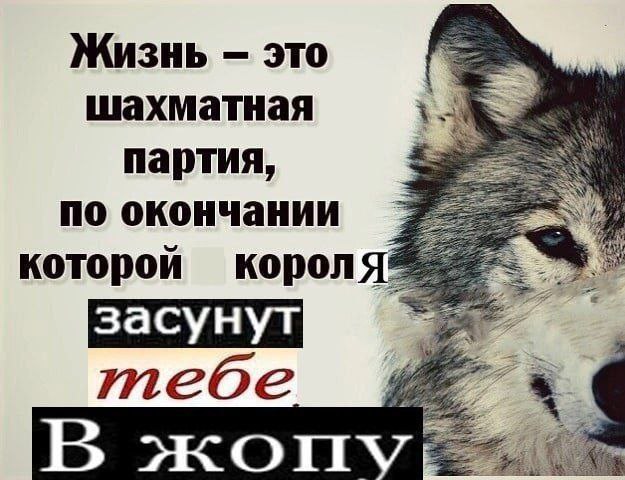 Жизнь это шахматная партия, по окончании которой короля’ тебе В жоп