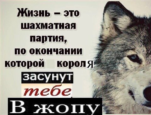 Жизнь это шахматная партия, по окончании которой короля’ тебе В жоп