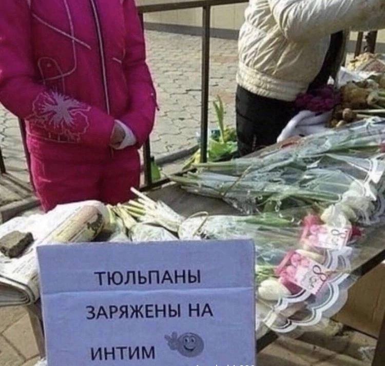 ТЮЛЬПАНЫ ЗАРЯЖЕНЫ ИНТИМ