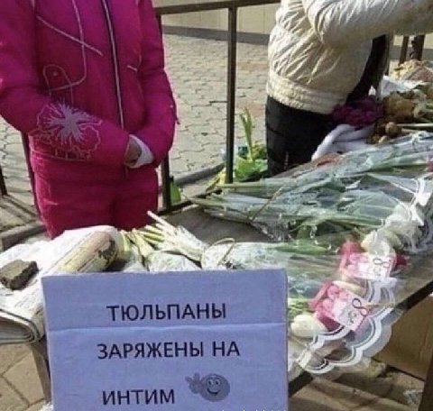 ТЮЛЬПАНЫ ЗАРЯЖЕНЫ ИНТИМ