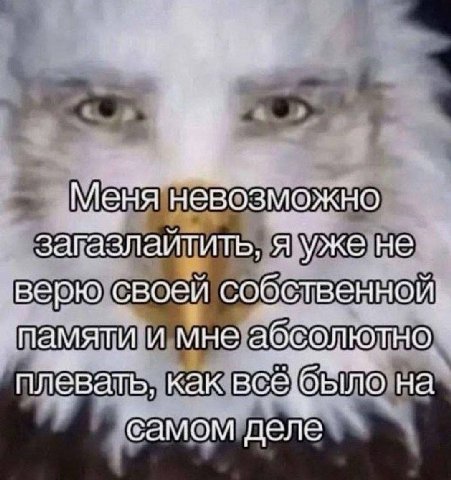 Меня невозможно загазлаитить, яуже не верю своей собственной. памяти и мне абсолютно. плевать, как всё: на самом деле