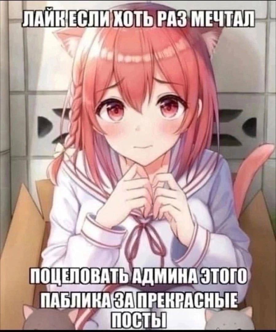AWK ЕСЛИ PAS У= 5 OWENOBATE АДМИНА о ЗАП ПОСТЬ
