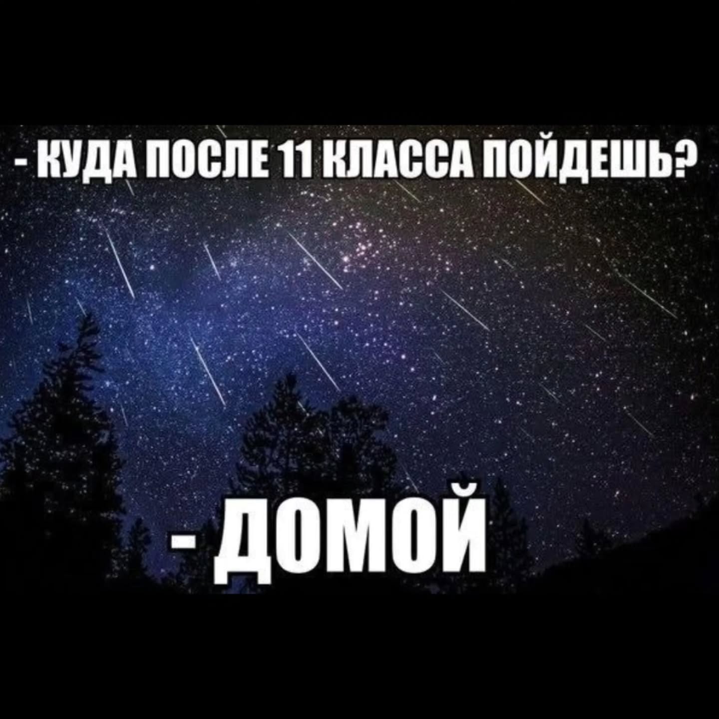КУДА ПОСЛЕ 11 КЛАССА ПОИДЕШЬ? ДОМОИ