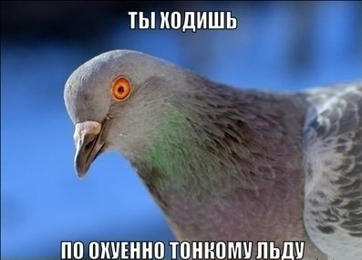 ТЫ КОДИШЬ ПО ОХУЕННО ТОНРОМУЛЬДУ