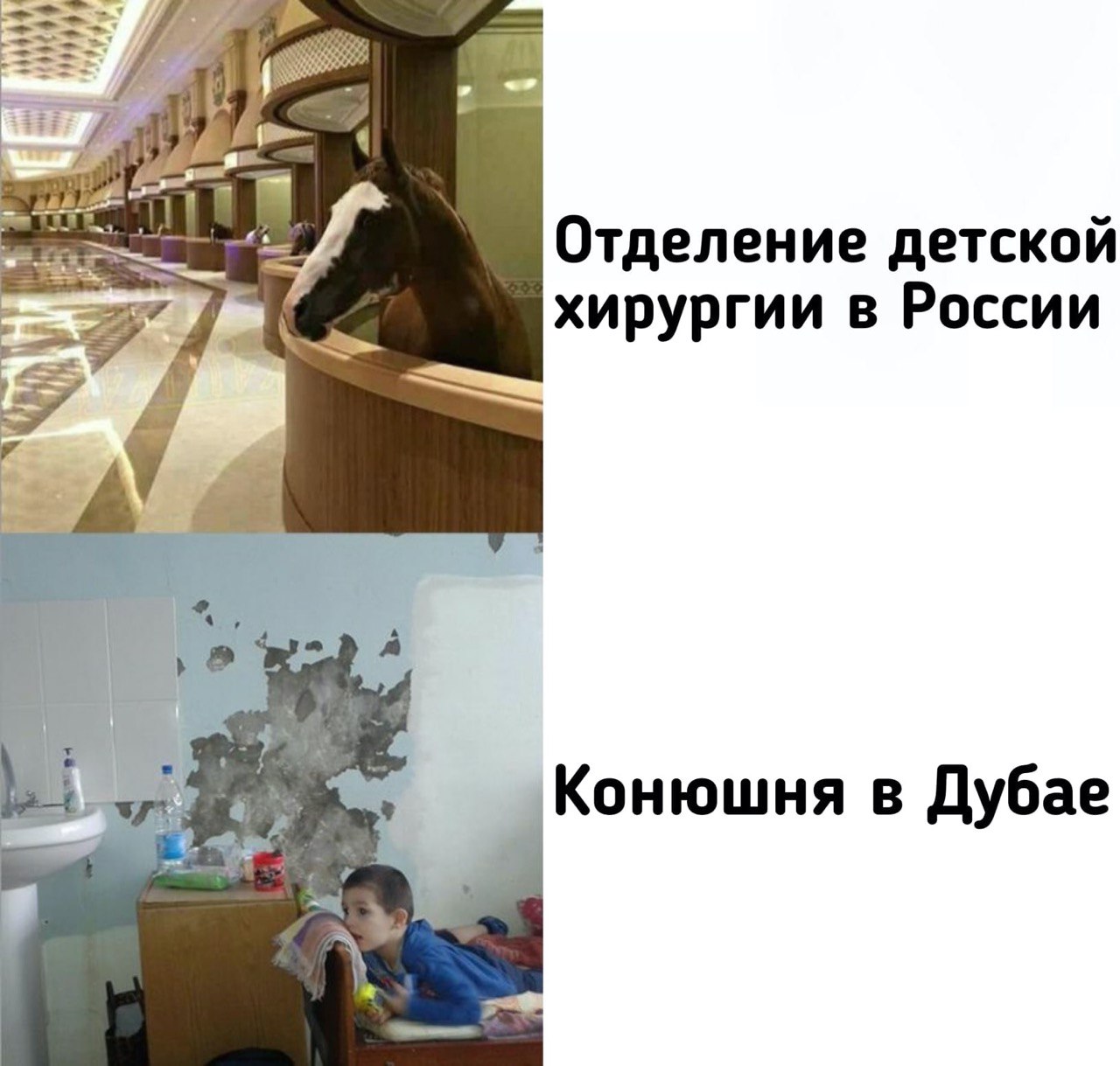 Отделение детской хирургии в России Конюшня в Дубае