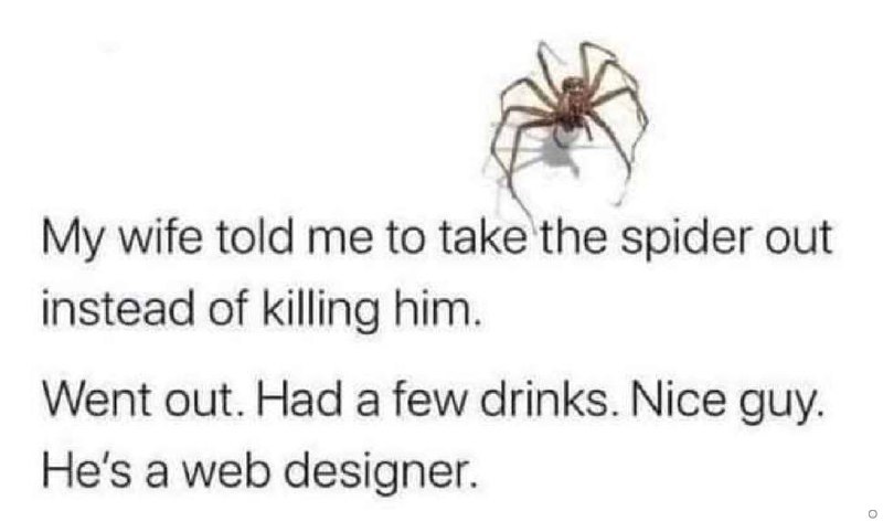 My wife told me to take'the spider out instead of killing him. Went out. Had a few drinks. Nice guy. He's a web designer.