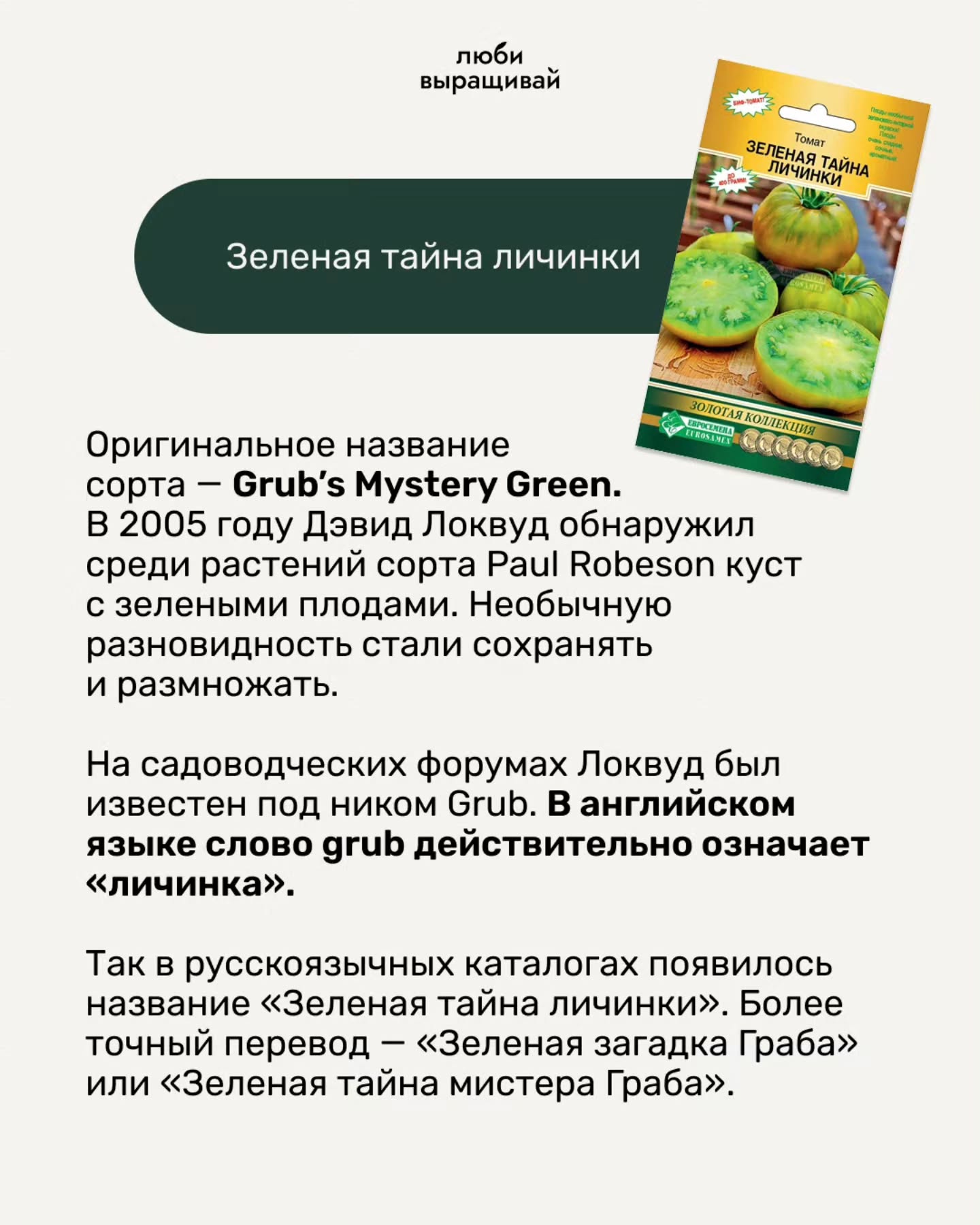 люби выращивай а Томат ТАЙН, 1A Зеленая тайна личинки Оригинальное название сорта Grub’s Mystery Green. В 2005 году Дэвид Локвуд обнаружил среди растений сорта Paul Robeson куст с зелеными плодами. Не