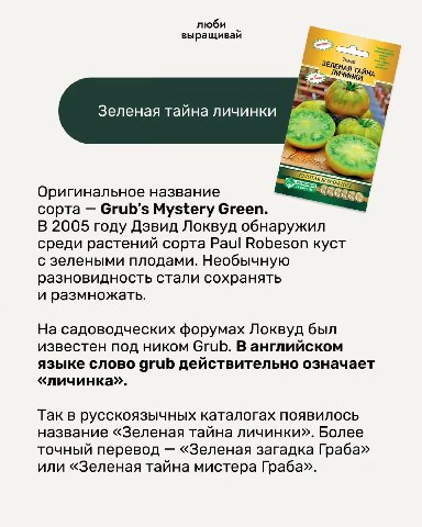 люби выращивай а Томат ТАЙН, 1A Зеленая тайна личинки Оригинальное название сорта Grub’s Mystery Green. В 2005 году Дэвид Локвуд обнаружил среди растений сорта Paul Robeson куст с зелеными плодами. Не
