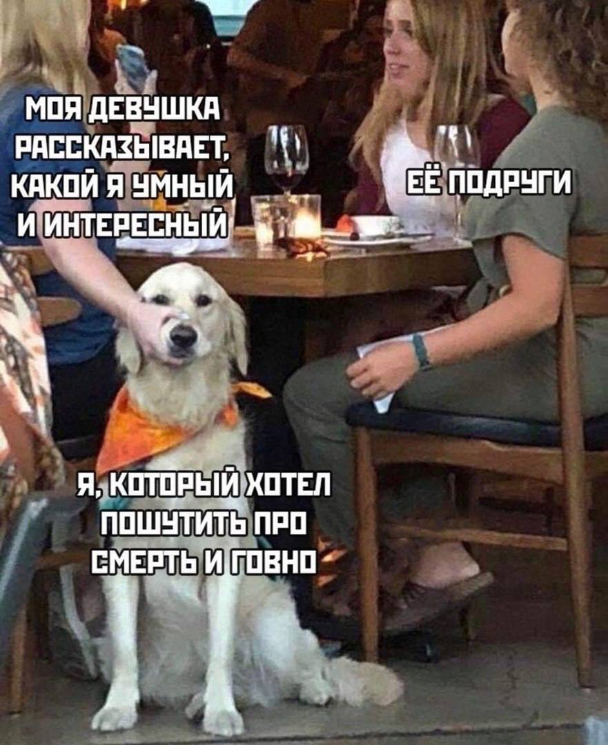 МОЯ ДЕВУШКА РАССКАЗЫВАЕТ, КАКОЙ Я УМНЫЙ BEE ПОДРУГИ ПОШУТИТЬ ПРО СМЕРТЬ И[ГОВНО