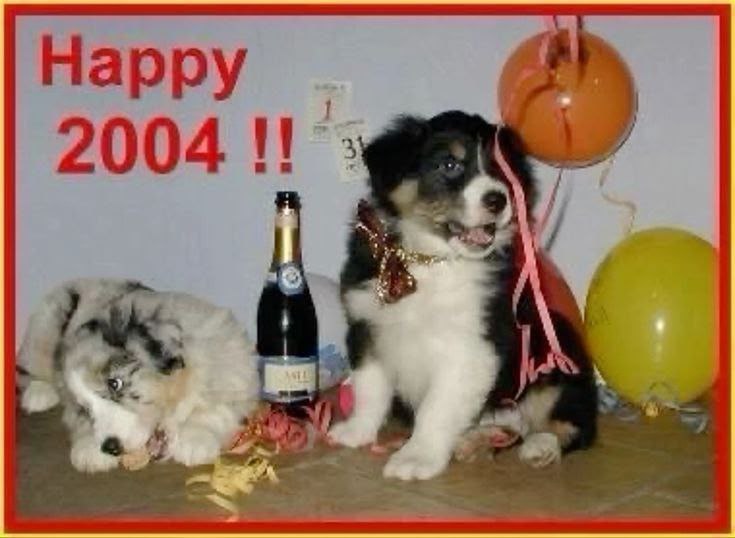 Нарру 2004 aon