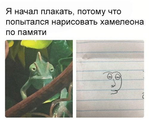 Я начал плакать, потому что попытался нарисовать хамелеона по памяти