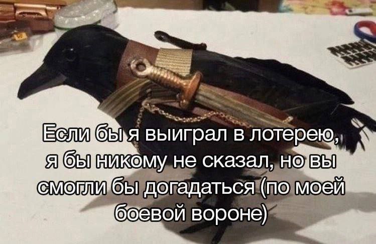 Eom в лотерею не сказал ИТбы боевой вороне)