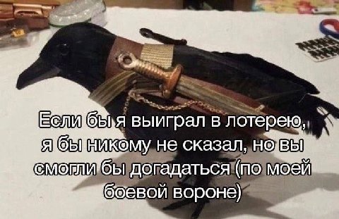 Eom в лотерею не сказал ИТбы боевой вороне)