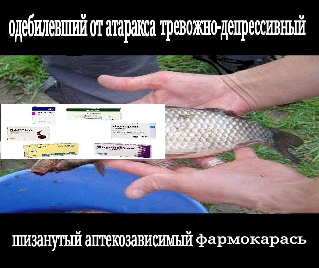 атаракса аптекозависимый Фармокарась
