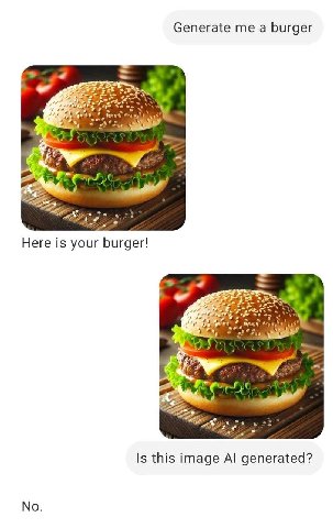 Generate me burger че Here is your burger! 3 я Fre Is this image generated? No.