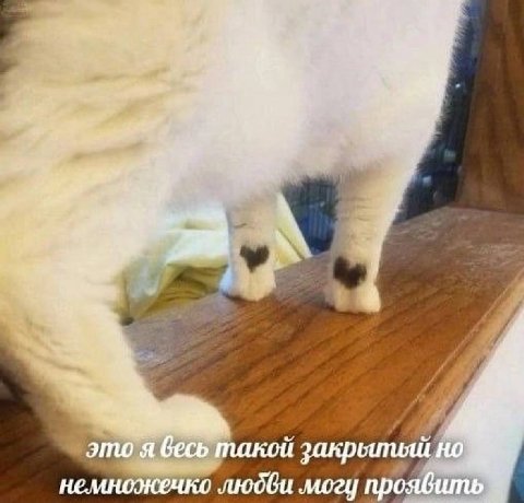 rig это я весь такой закрылияй немножечко людби могу проявить