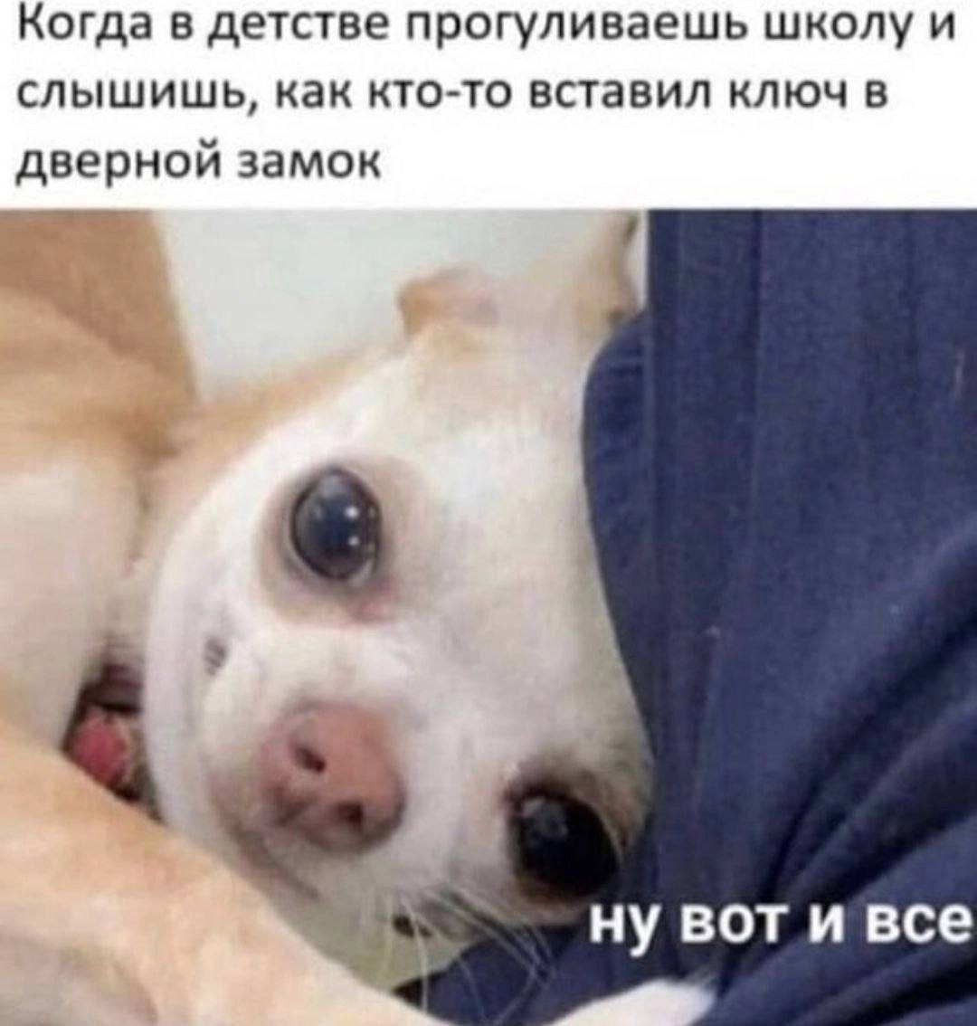 Когда в детстве прогуливаешь школу и слышишь, как кто-то вставил ключ в дверной замок ну BOT и все