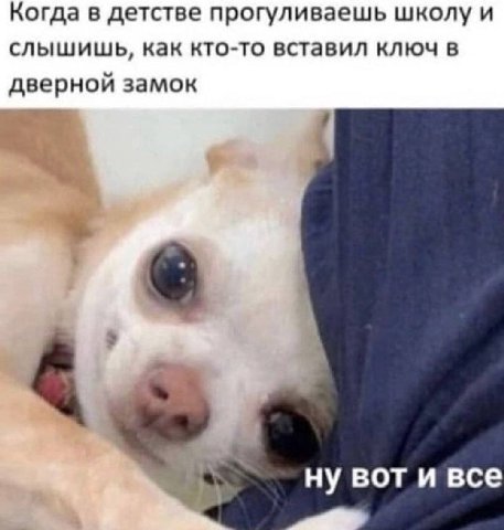 Когда в детстве прогуливаешь школу и слышишь, как кто-то вставил ключ в дверной замок ну BOT и все