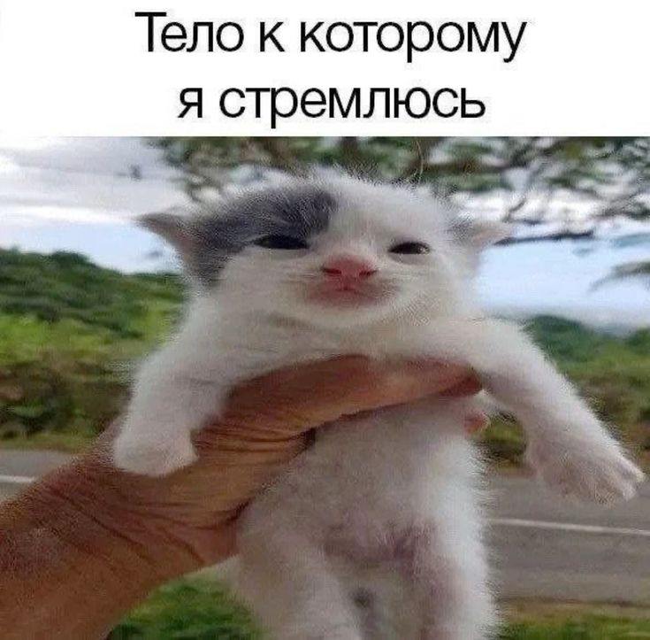 Тело к которому я стремлюсь