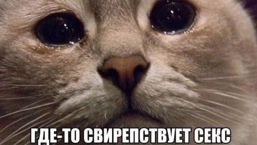 ГДЕ-ТО СВИРЕПСТВУЕТ СЕКС