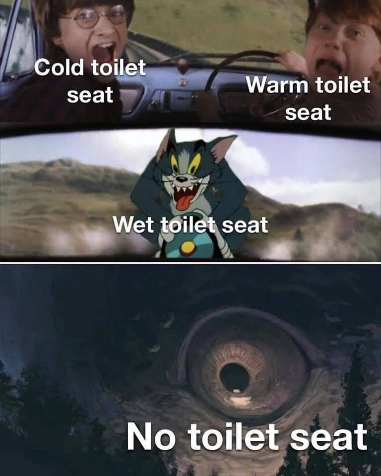 Cold toilet seat Warm toilet seat Wet toilet seat No toilet seat