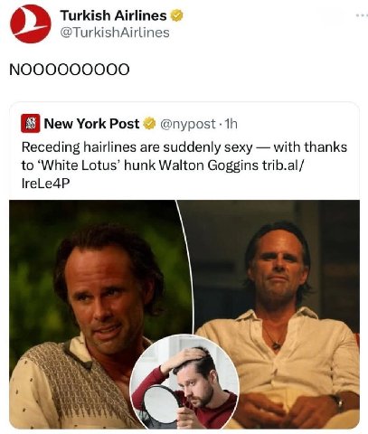 Turkish Airlines @TurkishAirlines New York Post @nypost: Receding hairlines are suddenly sexy with thanks to ‘White Lotus’ hunk Walton Goggins trib.al/ lreLe4P