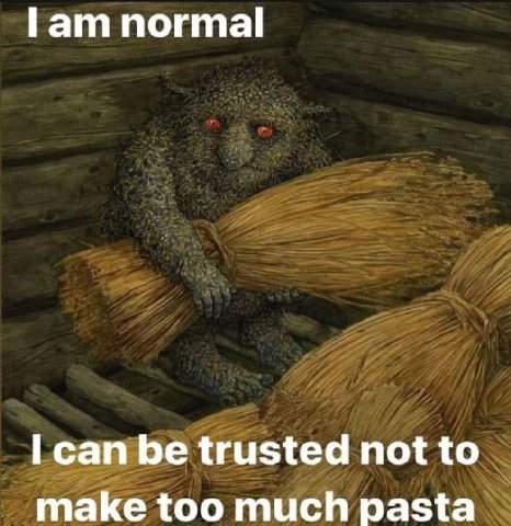Гат normal can be trusted not to make too much pasta