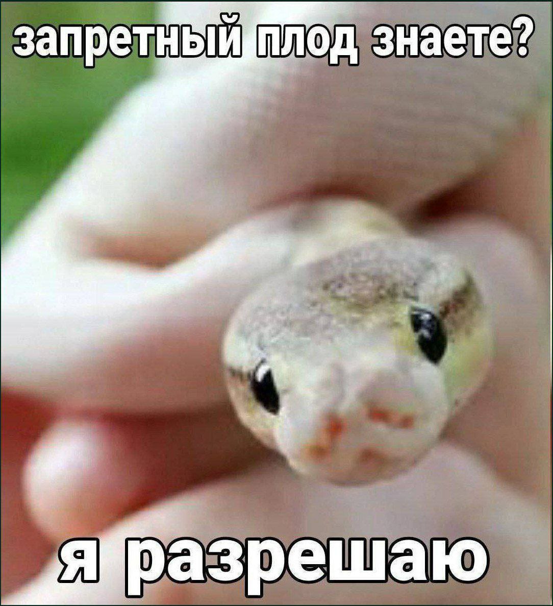 знаете?