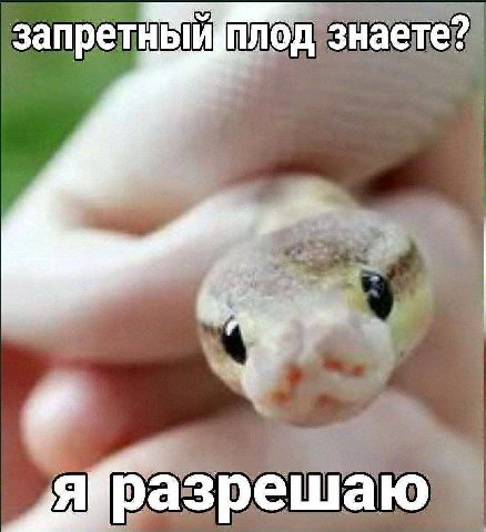 знаете?