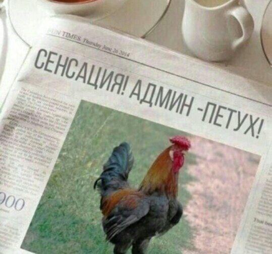 О у 4 A 4 we 0