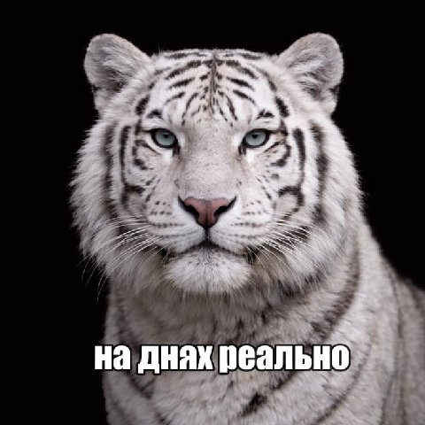 3 3 ene на днах реально