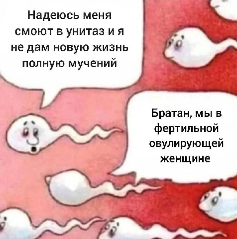 Надеюсь меня смоют в унитаз не дам новую жизнь полную мучений Братан, мы в фертильной овулирующей женщине