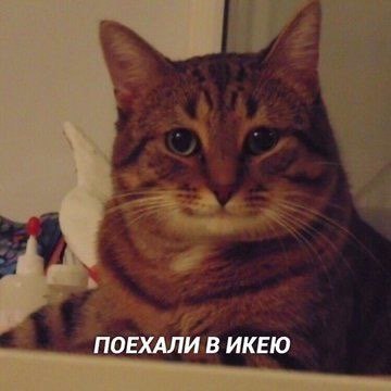 ПОЕХАЛИ В ИКЕЮ