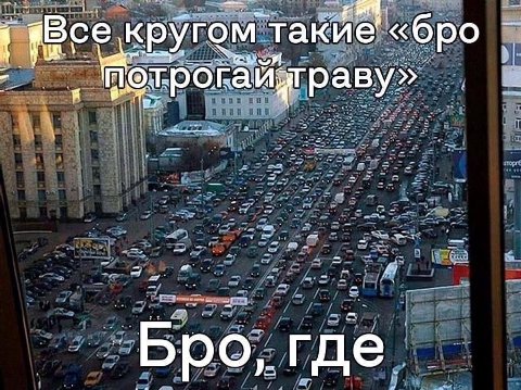 Все кругом такие «бро траву» где