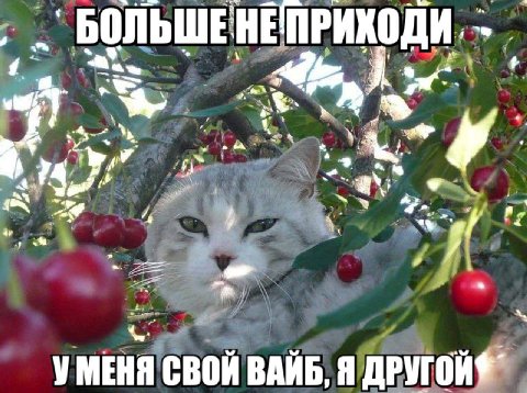 БОЛЬШЕНЕПРИХОДИ, БОЛЬШЕ: bad aS у cee УМЕНЯ СВОЙ ВАЙБ, Я