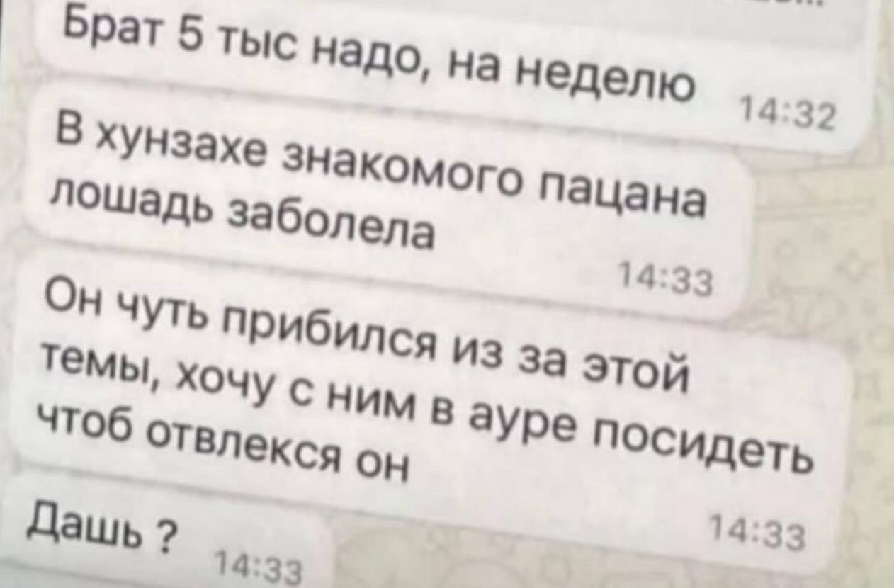 Брат 5 тыс надо, на неделю 14:32 В XYH3axe пацана лошадь Заболела 14:33 ОН чуть Прибился ИЗ за этой темы, хочу с НИМ ауре посидеть чтоб ОТвлекся 14:33 Дашь 14:33
