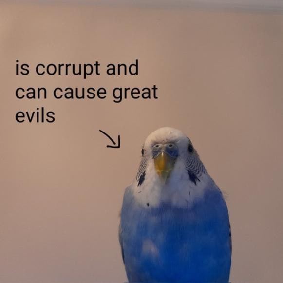 is corrupt and can cause great evils