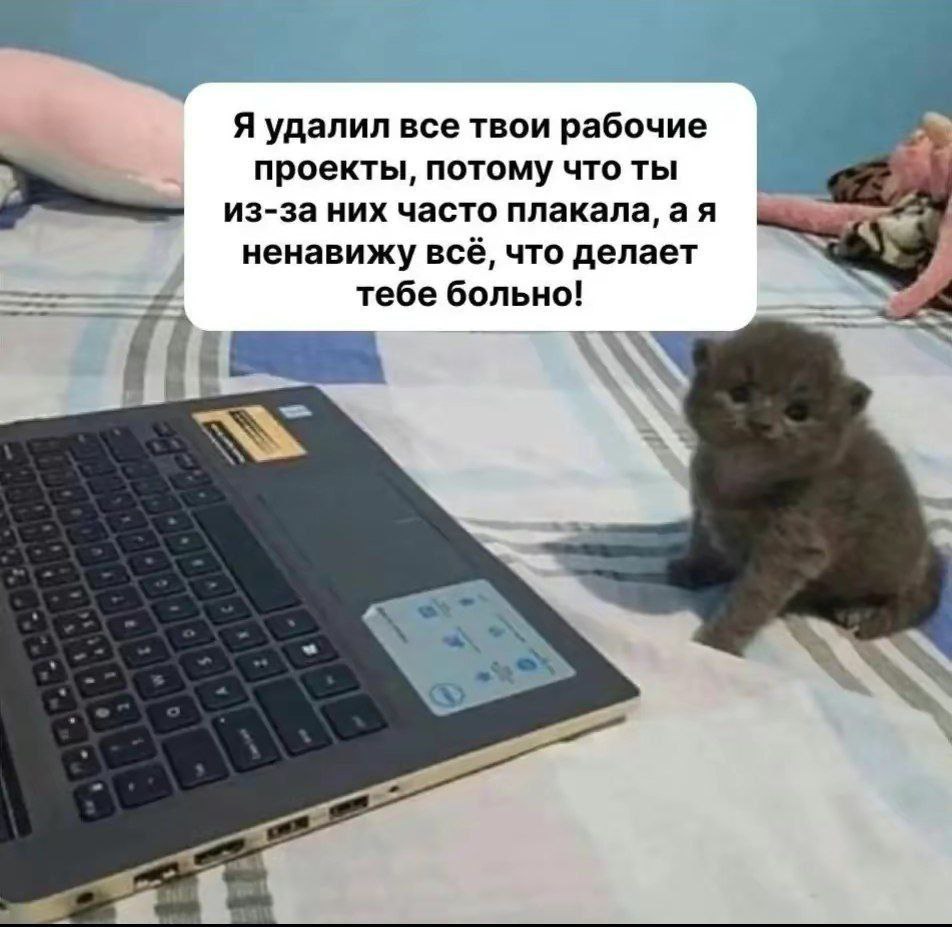 Я удалил все твои рабочие проекты, потому что ты из-за них часто плакала, а я ненавижу всё, что делает тебе больно!