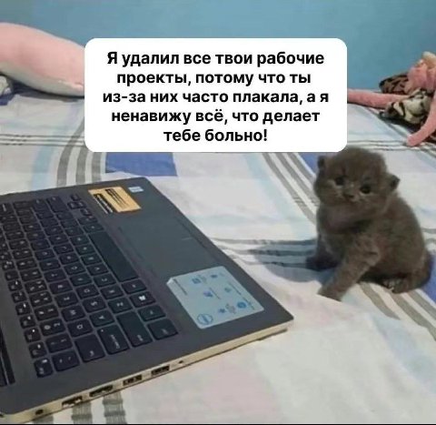 Я удалил все твои рабочие проекты, потому что ты из-за них часто плакала, а я ненавижу всё, что делает тебе больно!